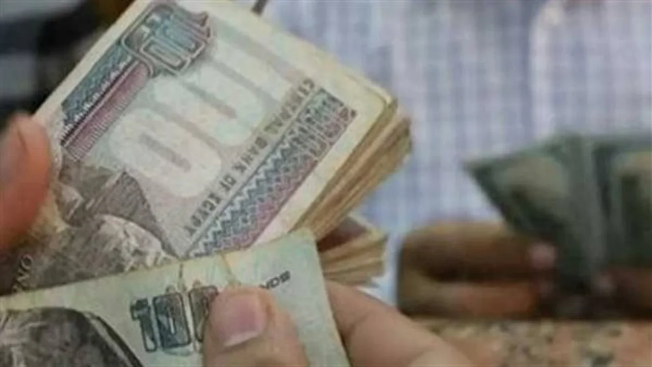 بوابة الهيئة القومية.. استعلم عن قيمة معاش شهر مايو عبر الموقع الإلكتروني